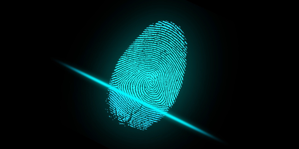 Digital fingerprint representing AFIS and background screening services.